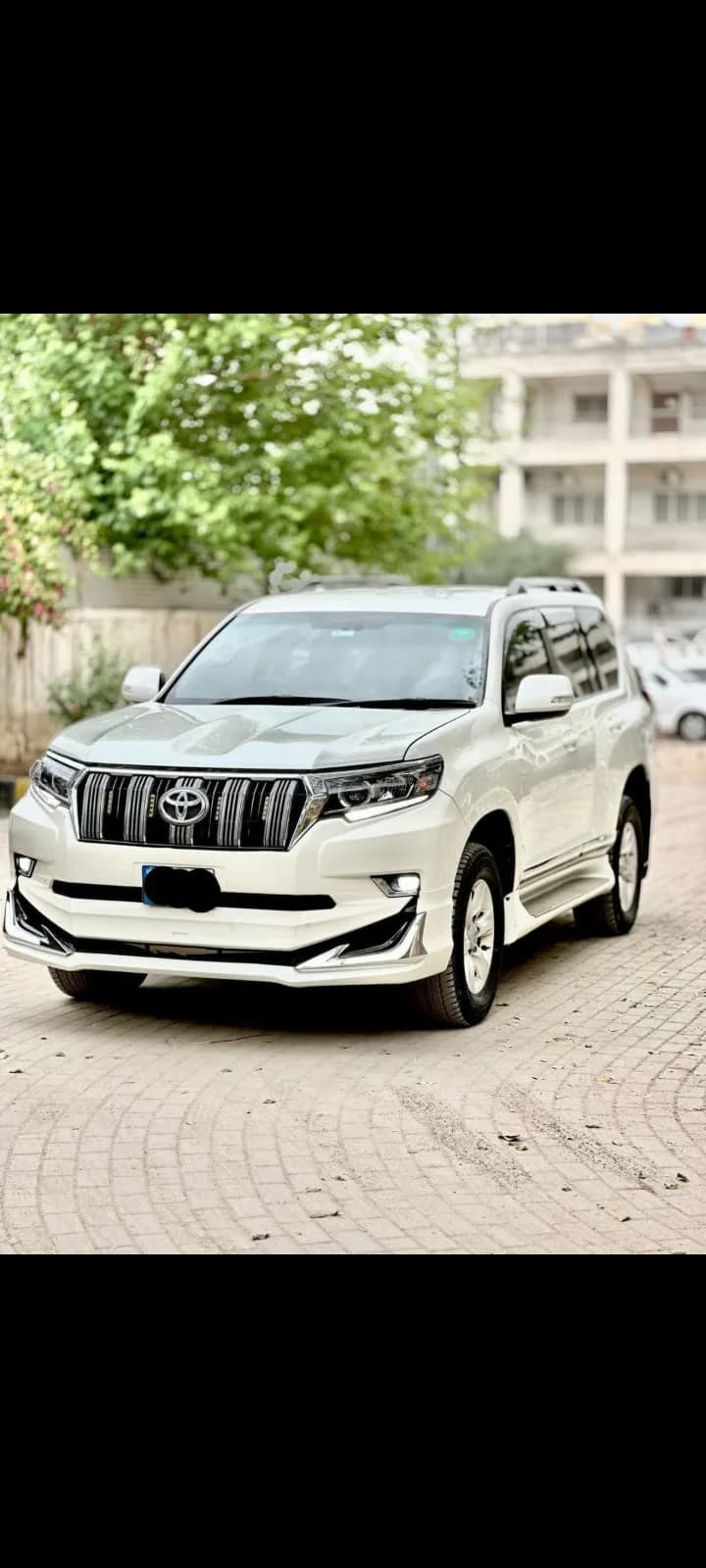 Prado white